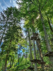 Wald